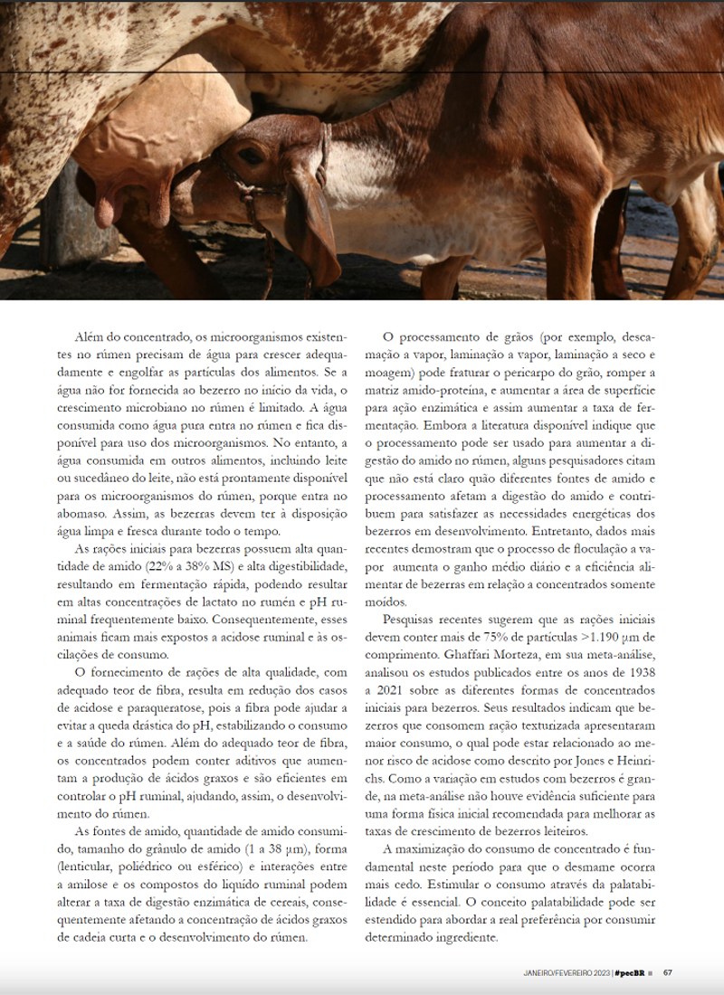 Premix na mídia: artigo sobre alimentação sólida para bezerras na revista Pecuária Brasil 9 pmx pec brasil fev 23 elissa 03