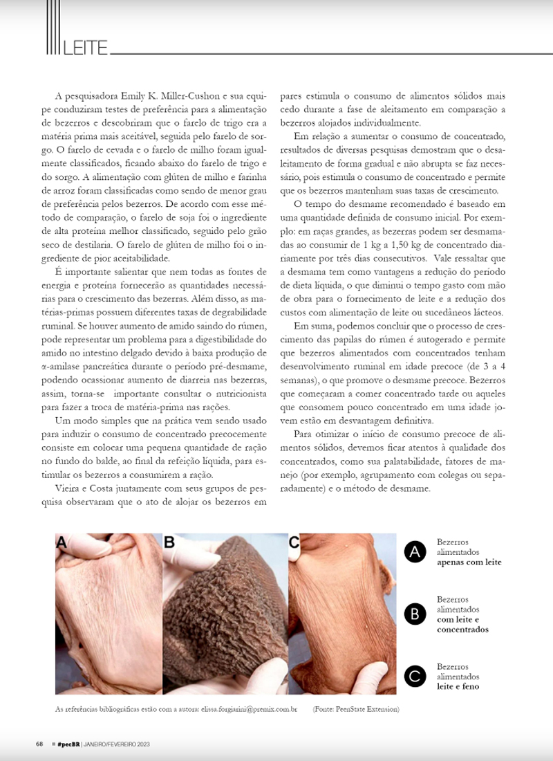 Premix na mídia: artigo sobre alimentação sólida para bezerras na revista Pecuária Brasil 10 pmx pec brasil fev 23 elissa 04