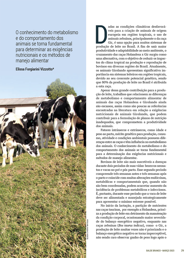 Elissa Vizzotto Balde Branco