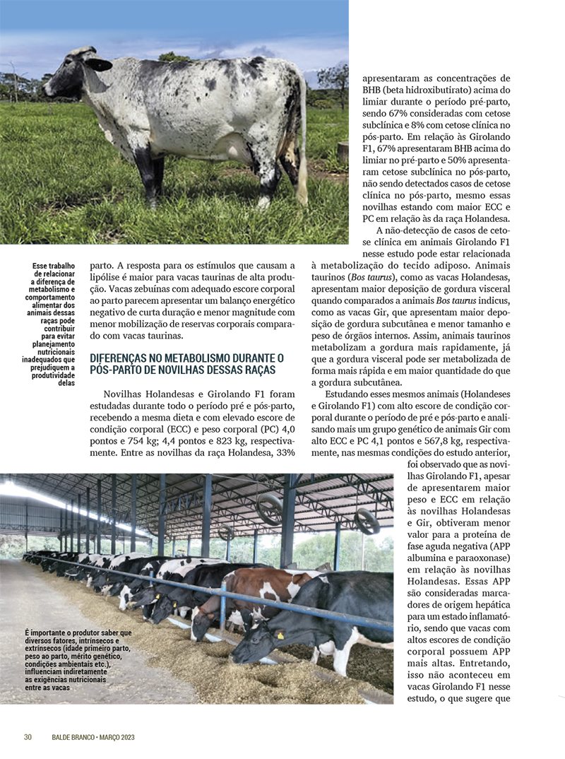 pmx revista balde branco mar 23 03