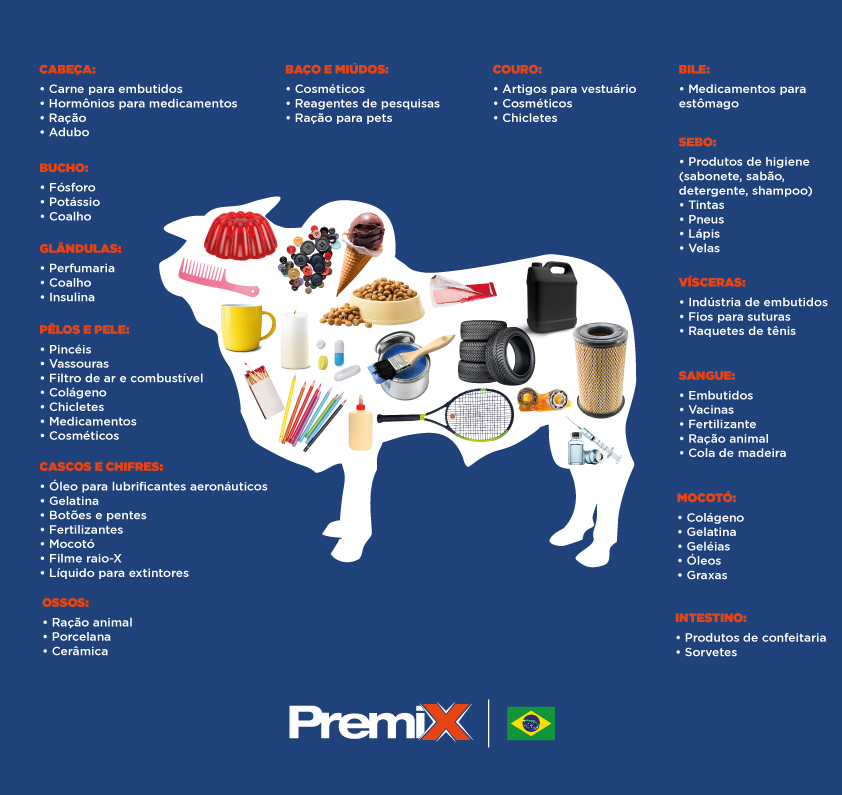 Você sabe o que são os coprodutos da indústria da carne? 4 Infográfico com informações sobre coprodutos derivados de bovinos.